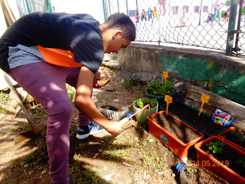 O mesmo aluno limpando as ervas daninhas à volta dos vasos com plantas, utilizando um pequeno sacho.